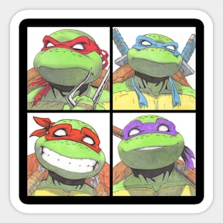 Four Turtle Brothers Sticker